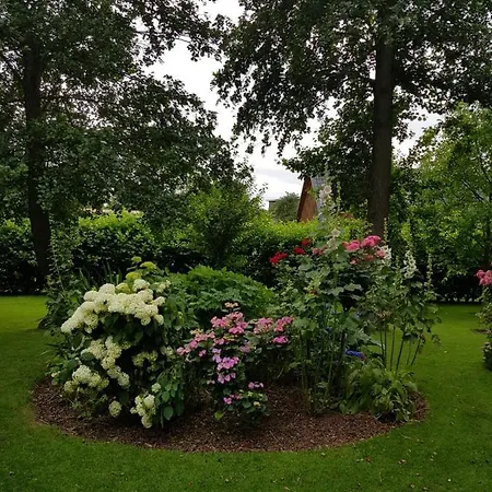 Dithmarscher Bucht * Meldorf
